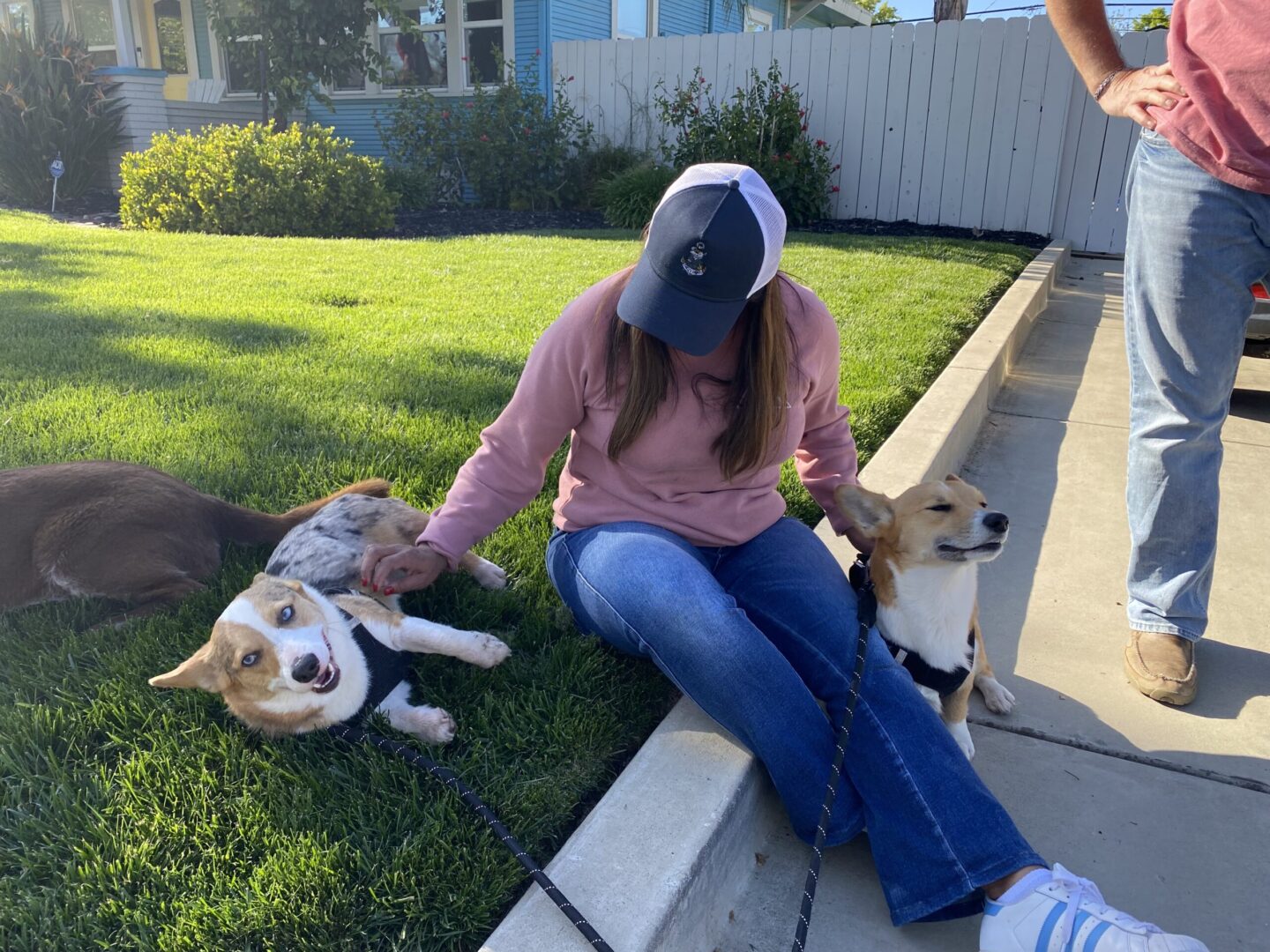 A woman sitting on the ground with two dogs.